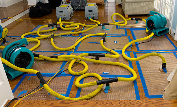 Professional Crawl Space Water Removal technician working in Wakefield, MA